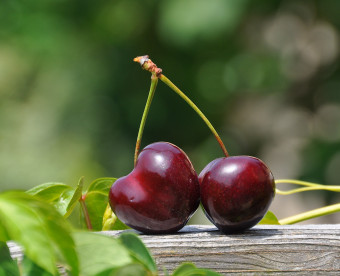 close up photography of a red cherry fruit 162689