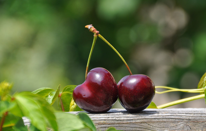 close up photography of a red cherry fruit 162689